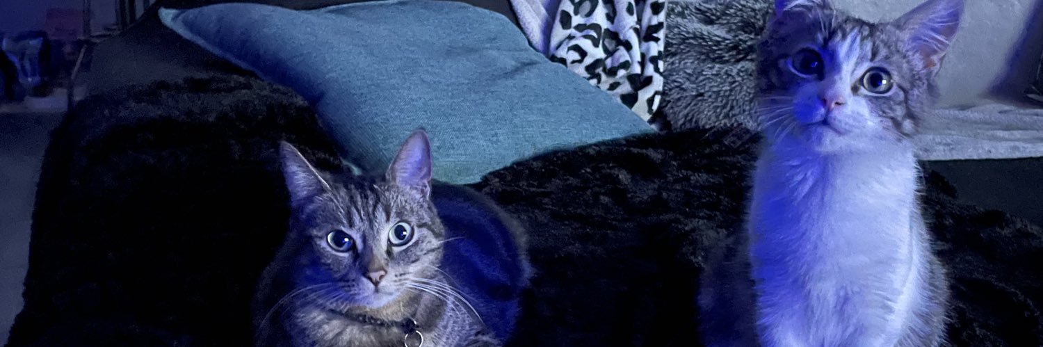 IMJNLN_'s profile banner image