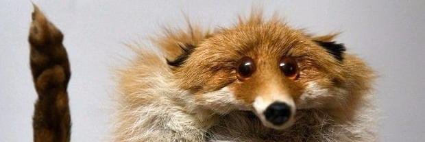 iohurt's profile banner image