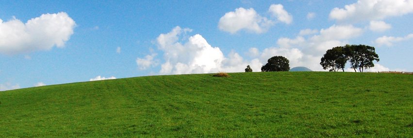 sinanogold's profile banner image