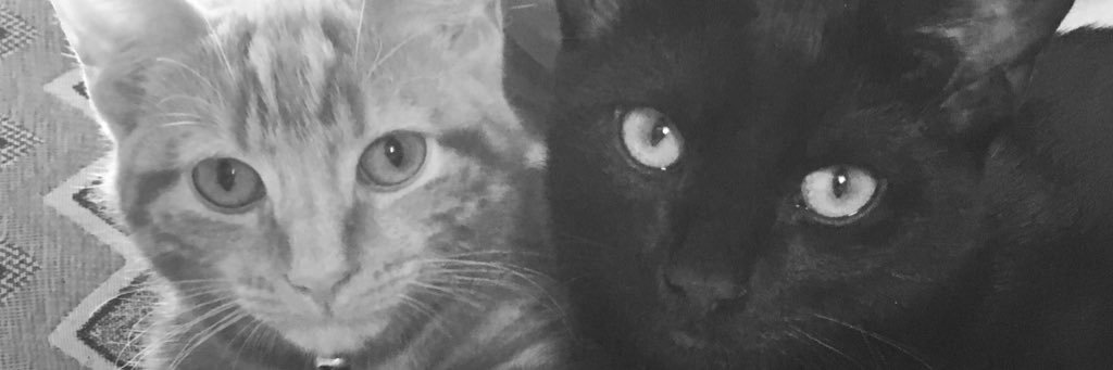 natchambers10's profile banner image
