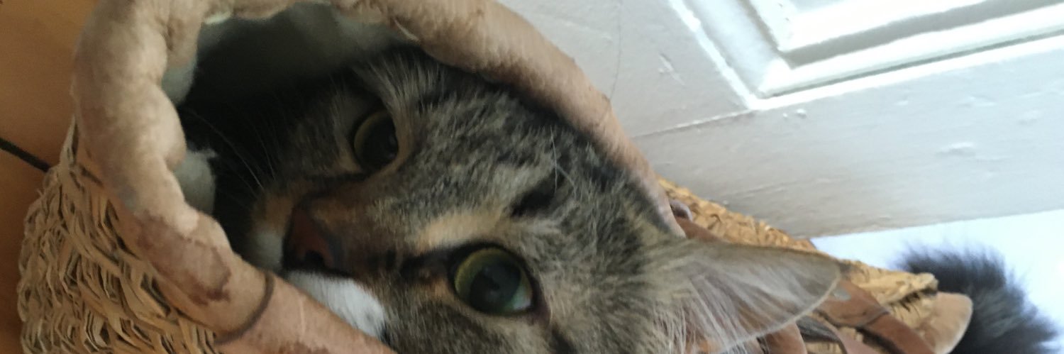 jlemoignan's profile banner image