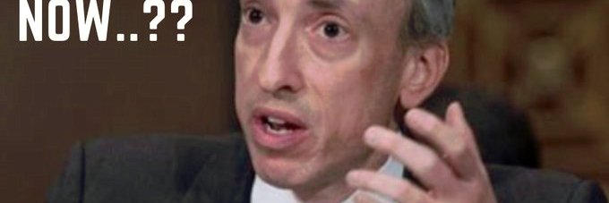 MOSSES AMPUNDA banner