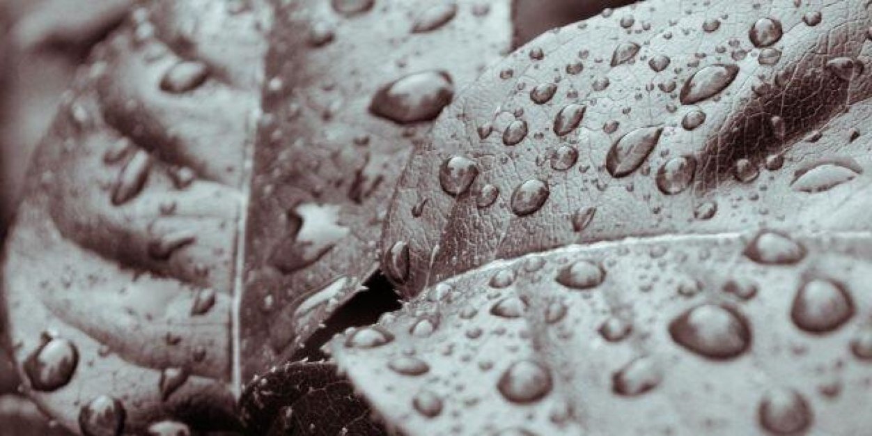 Ginger870's profile banner image