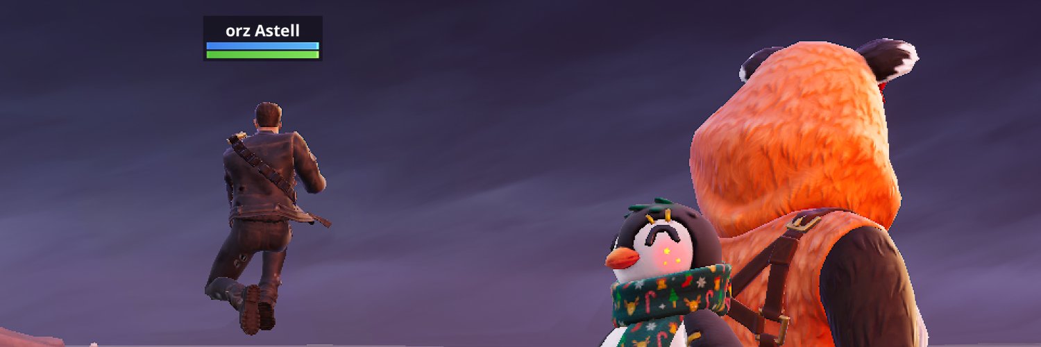 🦝 banner