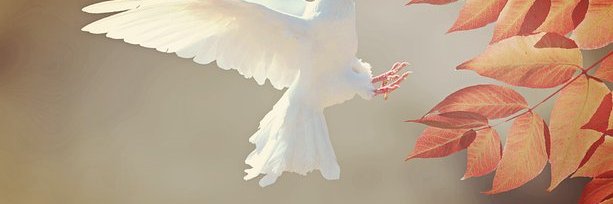 ModestyTat78313's profile banner image