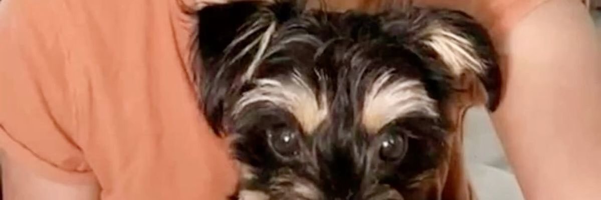 Goddess Jessica banner