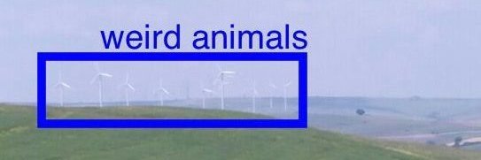 bzz bzz banner