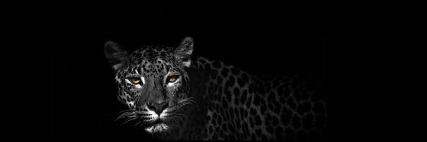 عبدالرحمن banner