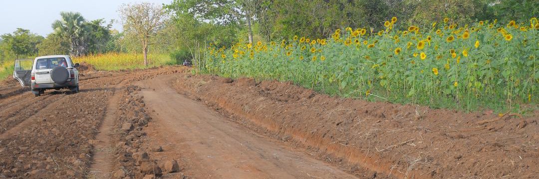 National Oilseeds Project's banner