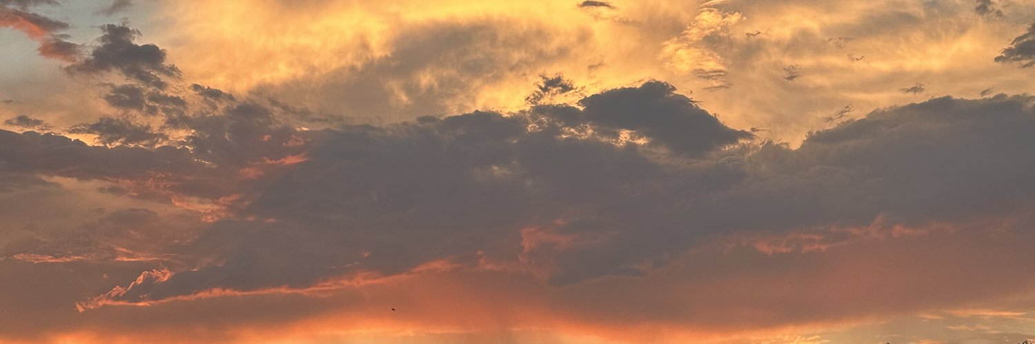 Mariiposaa10's profile banner image