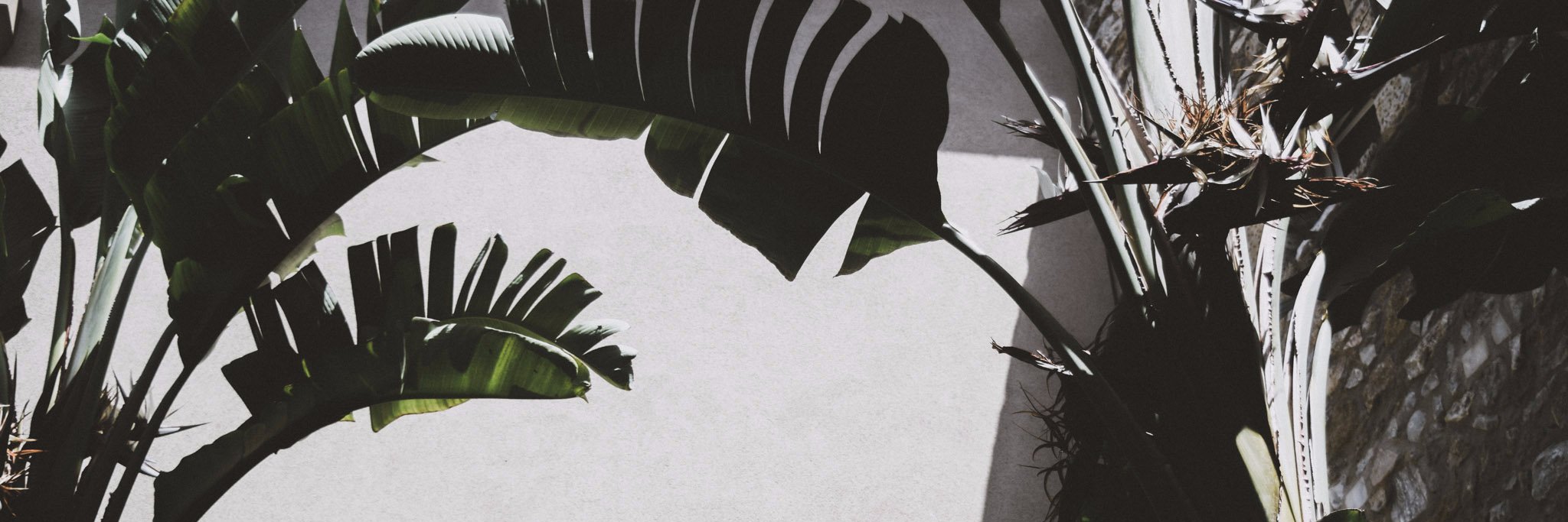ioannisar's profile banner image