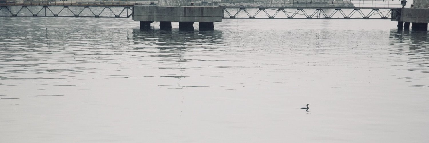 onurparlayann's profile banner image