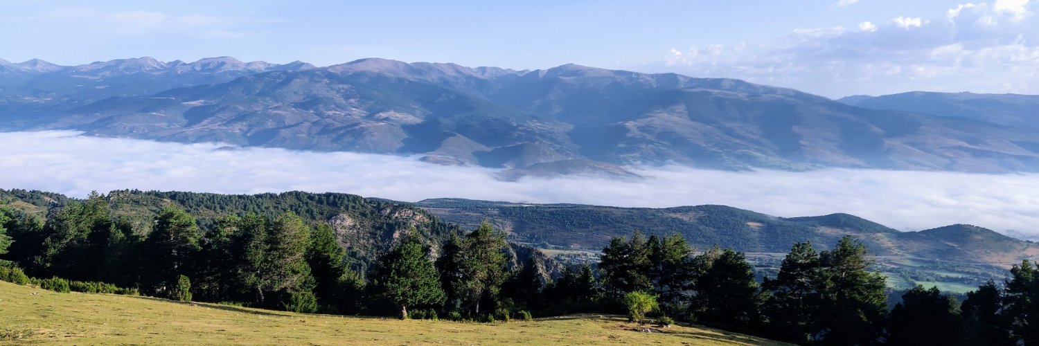 Iñaki Ecenarro banner