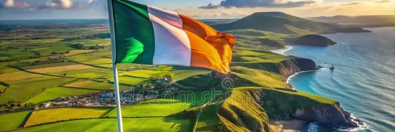 Mickey McFinnigan banner