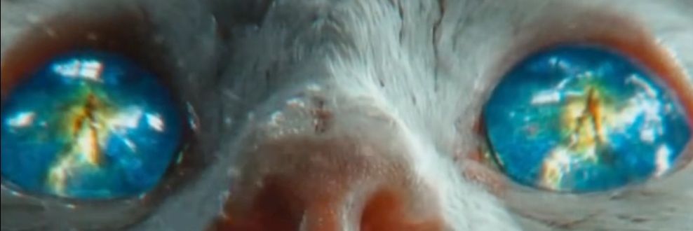 💡Chronovoyant 🍀 (312♦️ΩΑ/→←) 𐤊 banner