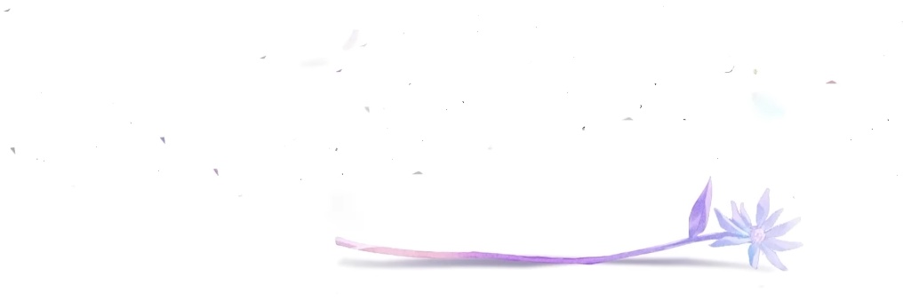 NoiSh(NAO📷)'s banner