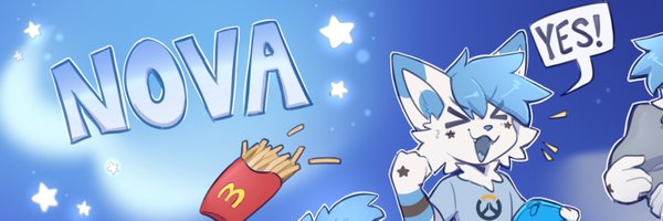 BlueFoxNova Profile Banner