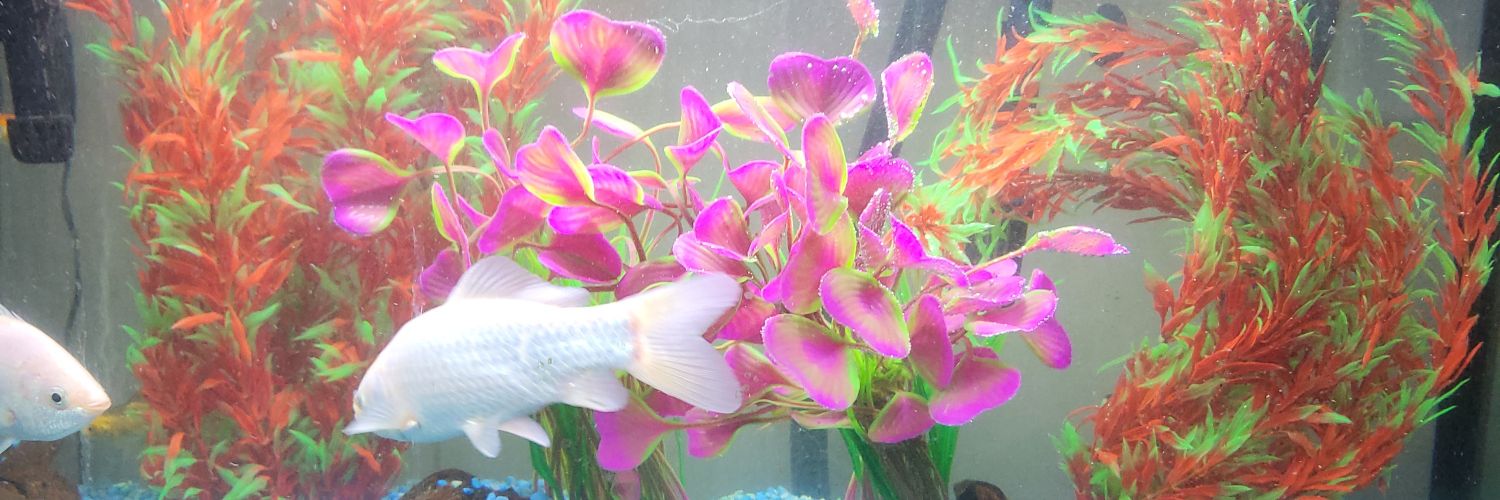 Donald S Keith banner