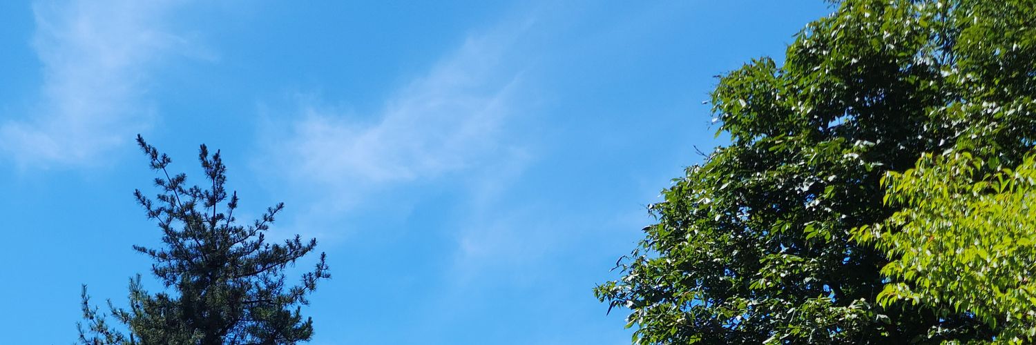 でるべ banner