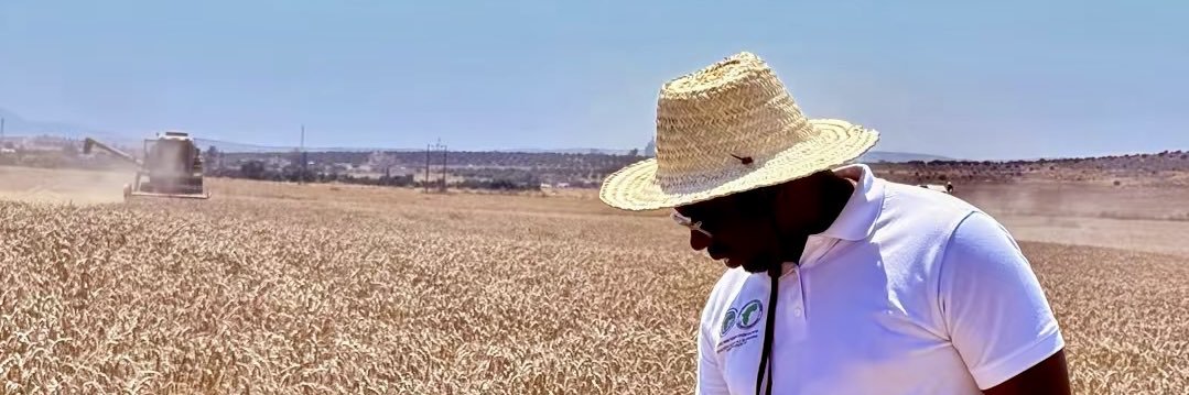 Mark Eghan, PhD banner