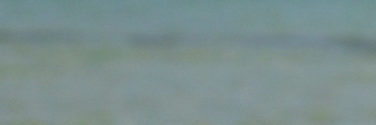 털게찜🦀's banner