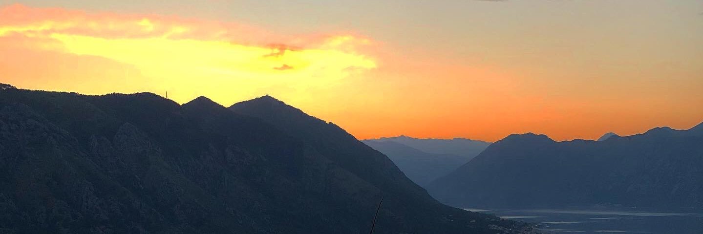 Tom Beau Smith banner