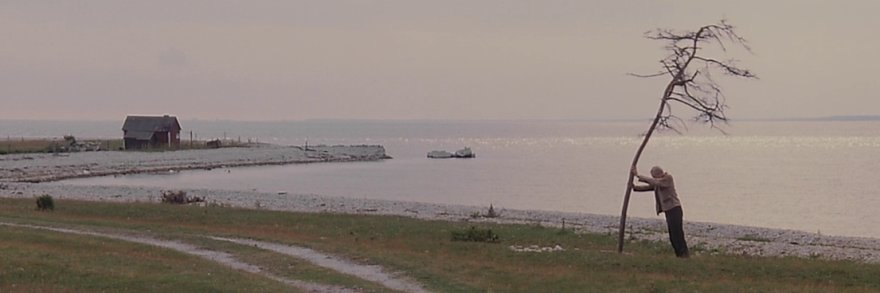 Gabriel Fernandes Caetano banner