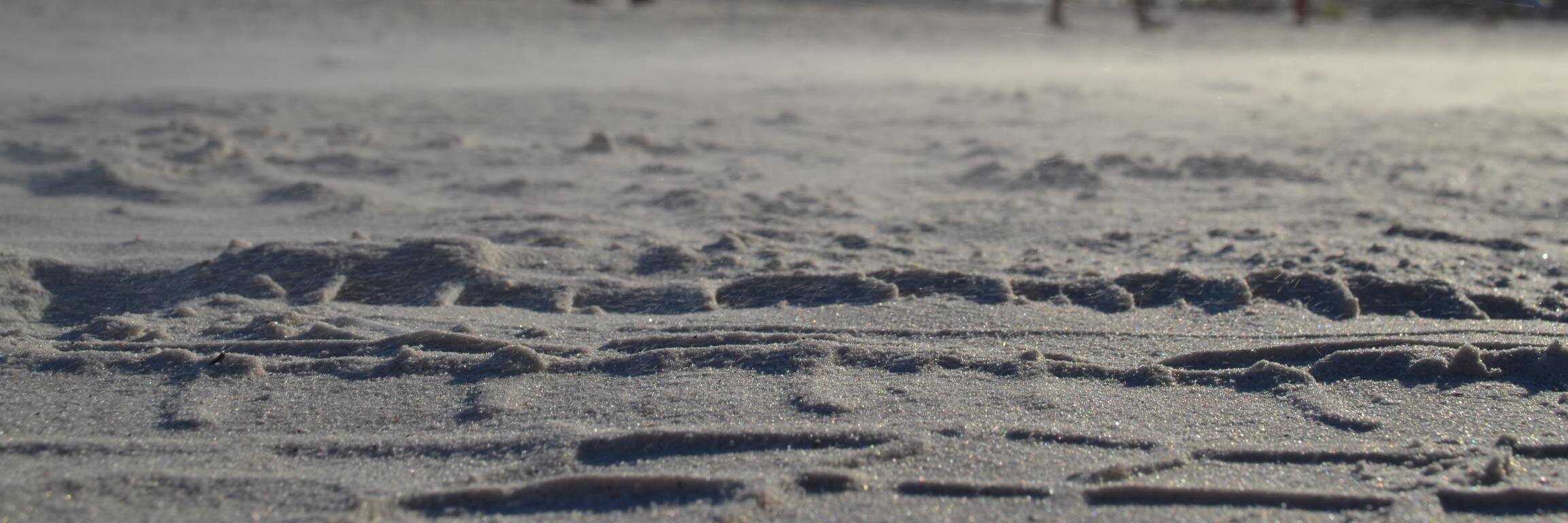 Jotty's profile banner image