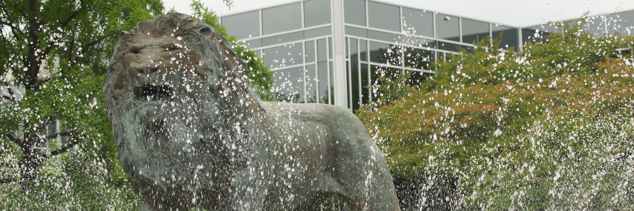 hsomervail's profile banner image