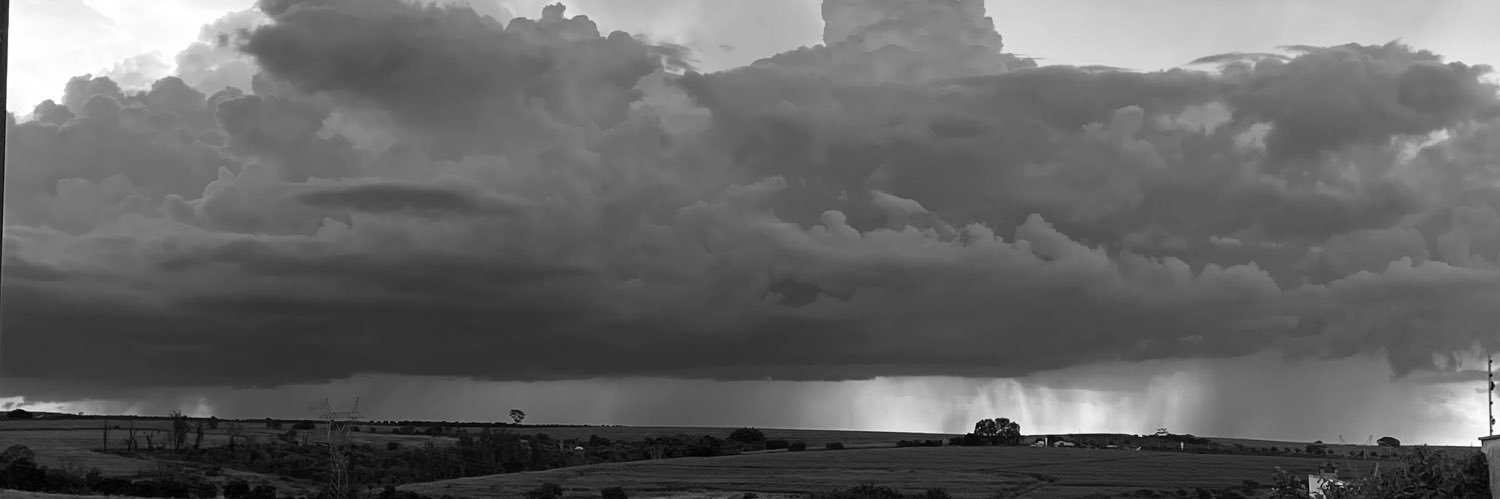 timothee chalamet banner