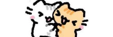 Matt banner