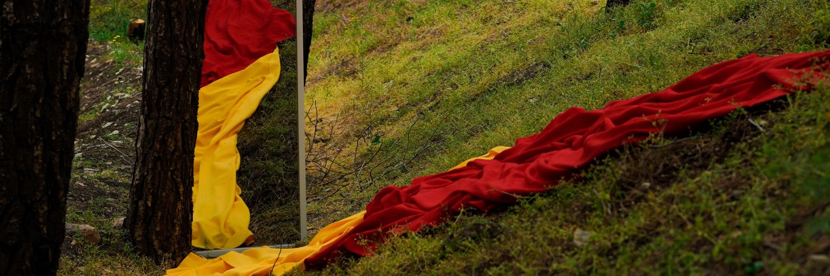 میمِ اولِ مصطفی's banner