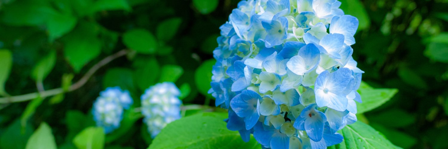 ひかみん banner