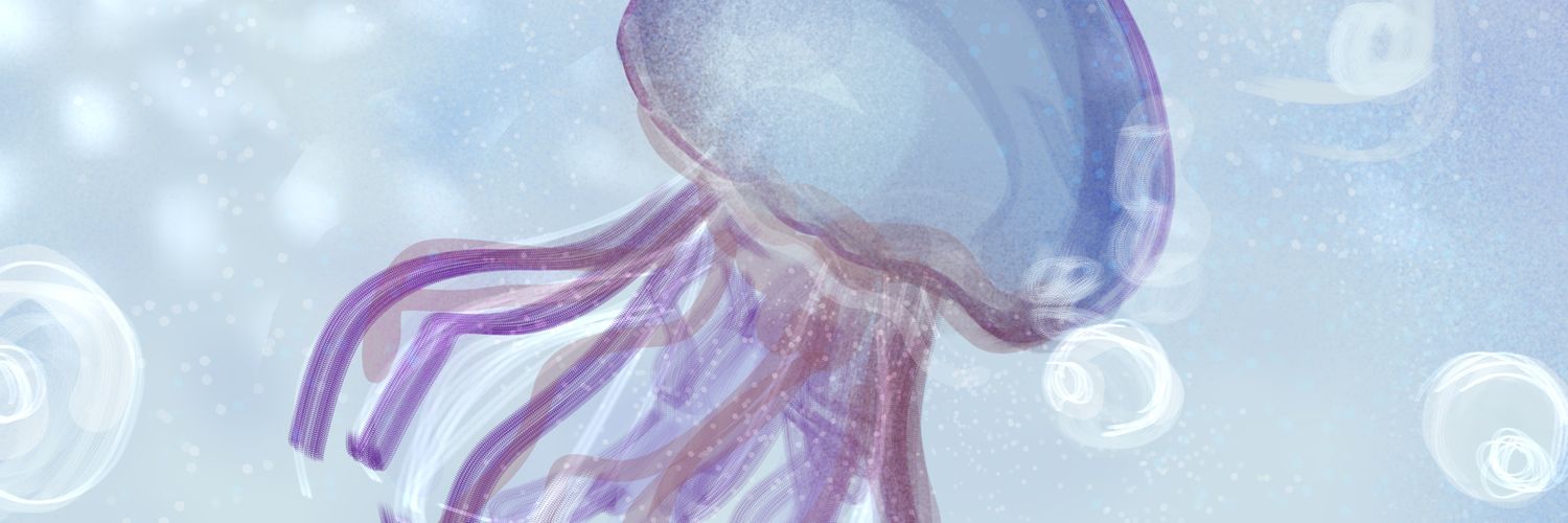 xin⭐ !!'s banner