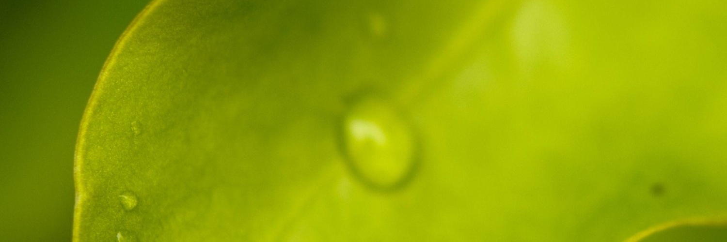 makomsk's profile banner image