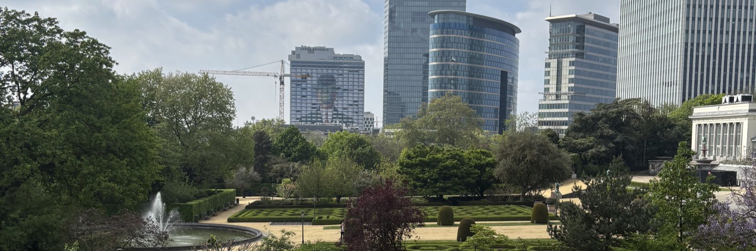 Rodrigo de la Torre banner