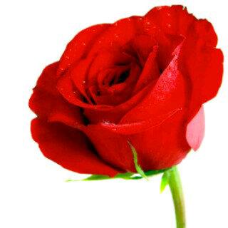 akaninyene28's profile banner image