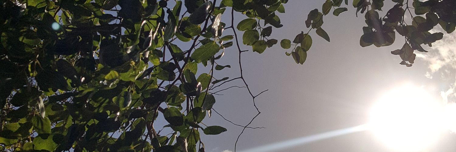 i_0l4's profile banner image