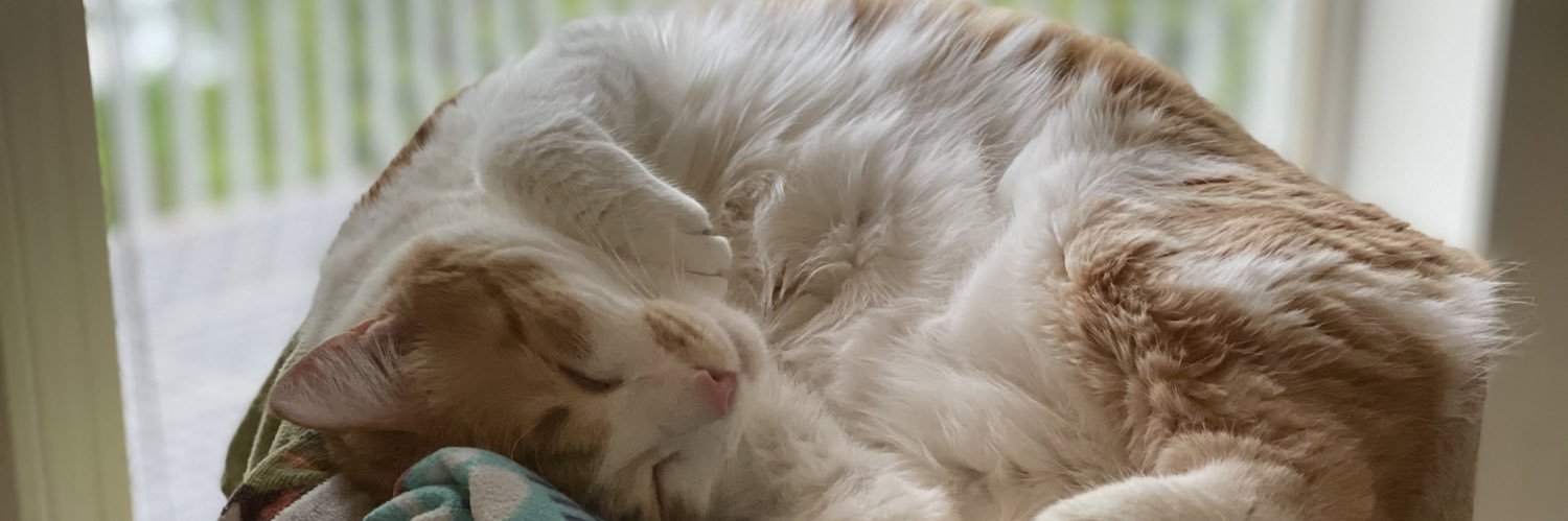 austinsugar95's profile banner image
