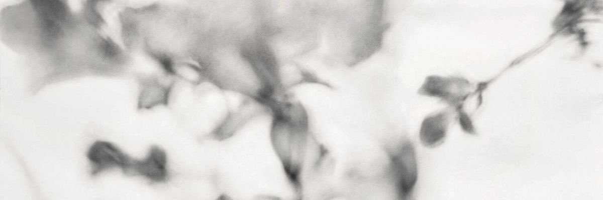 estadohabitual's profile banner image