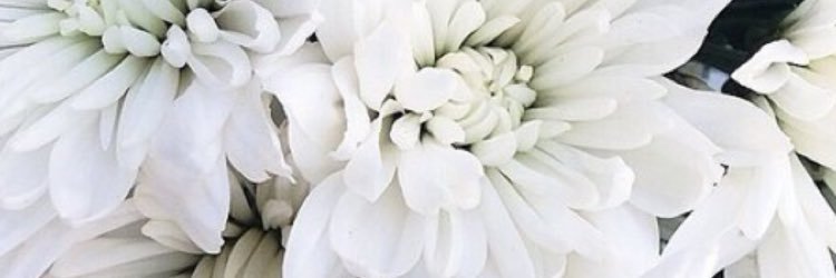 thatsmilu's profile banner image