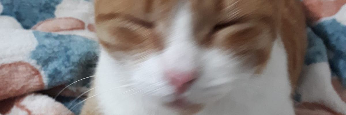 Funda Keleş banner