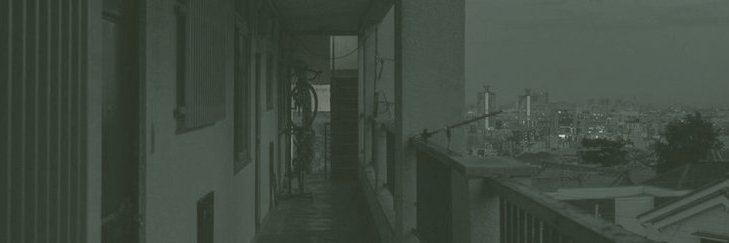 ☆₊ ⊹ leon / stelle banner