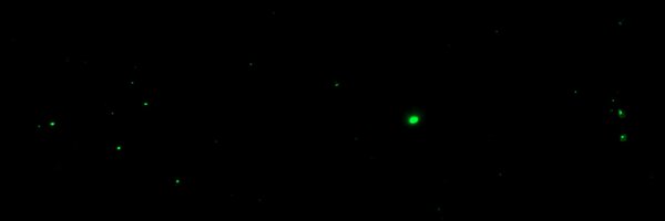 chriswerge Profile Banner