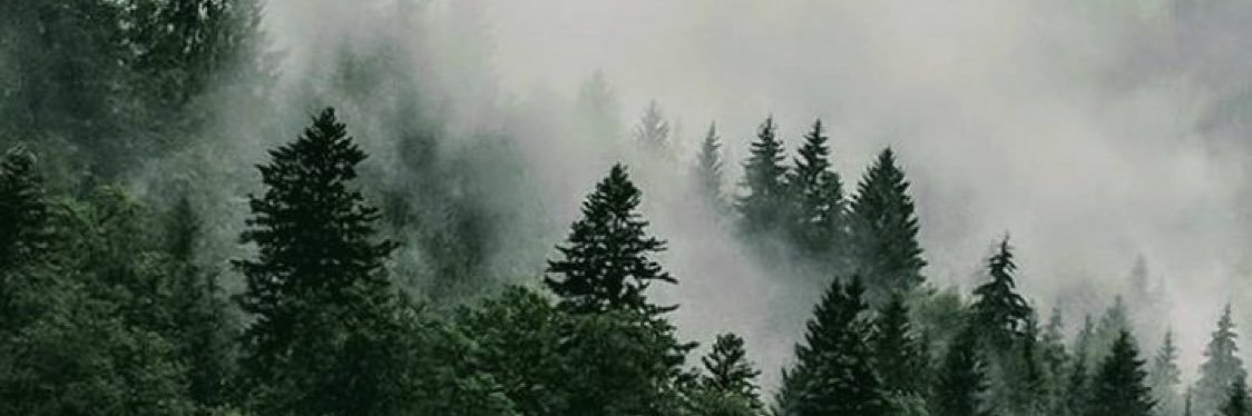 ramenporter's profile banner image