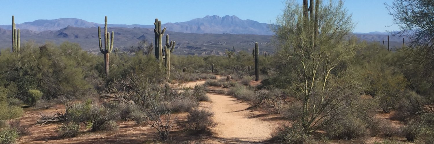 Roderick James banner
