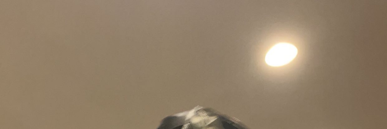 💲 banner