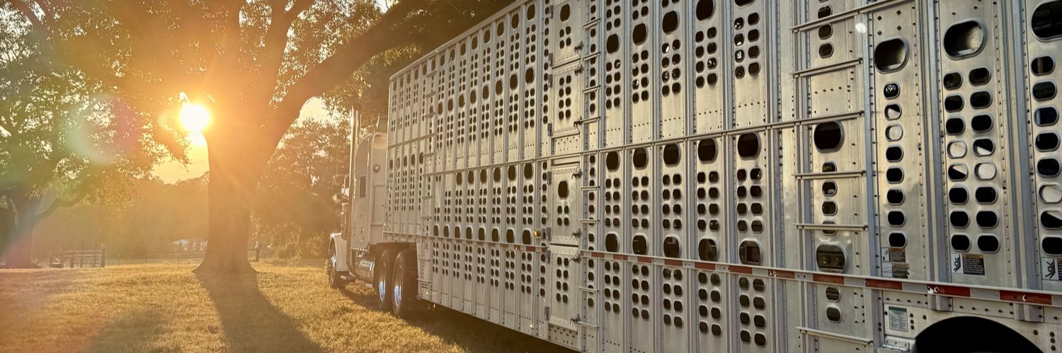 cattlefarm71's profile banner image