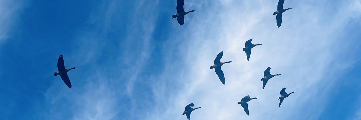 GiWohLabaddo's profile banner image