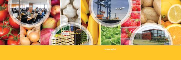 agfnl Profile Banner